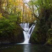 Waterfall in Autumn Forest