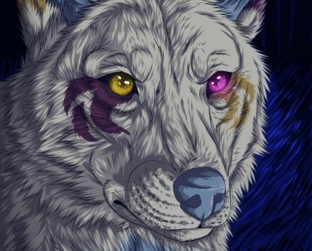 Wolf - lup, fantasy, white, blue, wolf, eye, pink, luminos