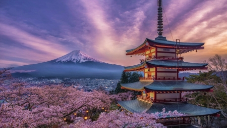 Springtime in Kyoto - sky, fuji, japanese, spring, nature, japan, sakura, shrine, scenery, city, temple, kyoto