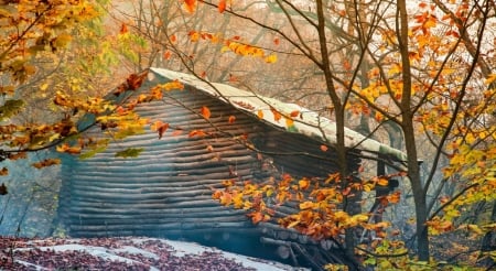 cabin in the fall forest - fall, forest, nature, cabin