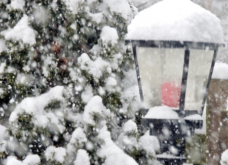 A Touch Of Snow - nature, lantern, snow, winter, snowing, tree