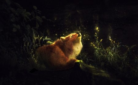 Fox - fox, forest, red, luminos, vulpe, fantasy