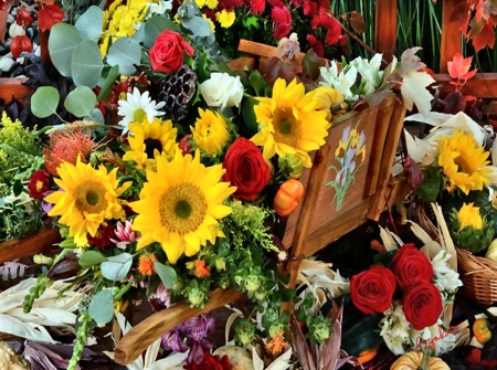 Harvest Time Flowers - beautiful, photography, beauty, romance, photo, love, flower, wide screen, floral