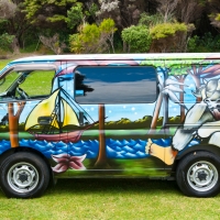 wild van