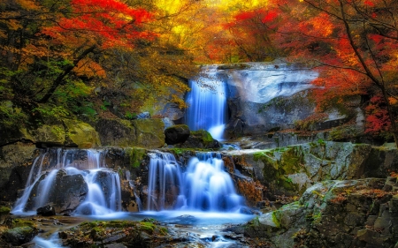 Waterfall in autumn forest - autumn, fall, cascades, forest, beautiful, colors, waterfall