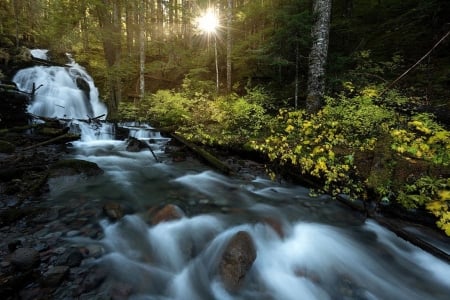 Zigzag Falls, Oregon - trees, waterfall, autumn, forest, sun, leaves