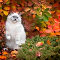 Enjoying the autumn season