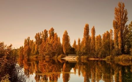 Autumn River - Forest, Reflection, Water, Sky