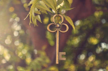 ♥ - abstract, key, hanging, leaves