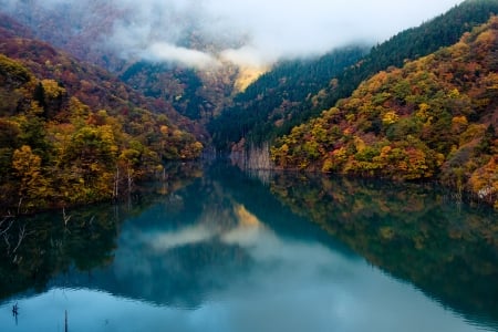 River - water, nature, cloud, River, tree, sky