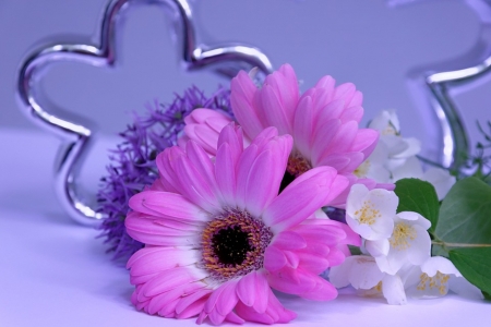 flowers - beauty, pink, photography, flowers, still life