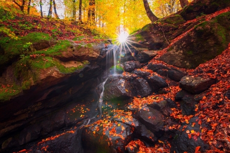 Rocky Sunlit Stream in Autumn - sunshine, streams, autumn, forests, moss, rocks, nature, fall, leaves