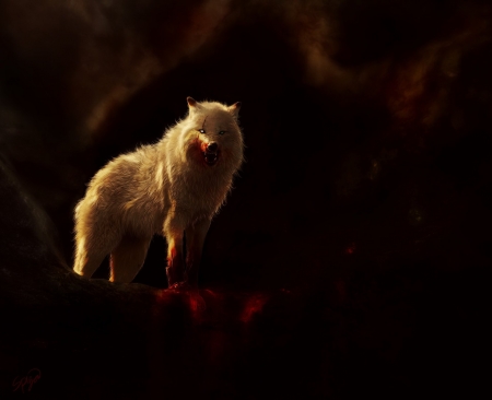 Wolf - blood, animal, art, Wolf