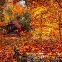 Old Covered Bridge in Autumn Forest Foliage