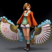 Paired Fans - Dynasty Warriors 8 