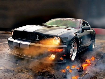 Ford Mustang Cobra - american, ford, muscle, car, fast, mustang, sports