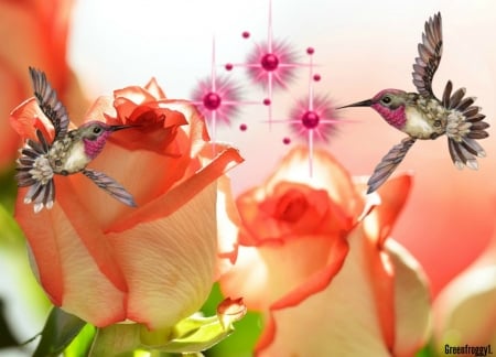 HUMMINGBIRDS WITH ROSES - ROSES, ART, HUMMINGBIRDS, ABSTRACT