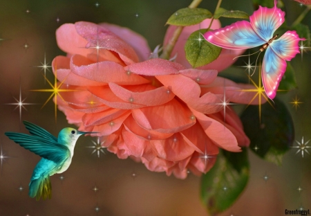 BUTTERFLY WITH HUMMINGBIRD