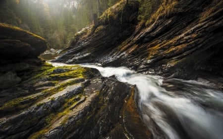 Stream - stream, nature, tree, moss