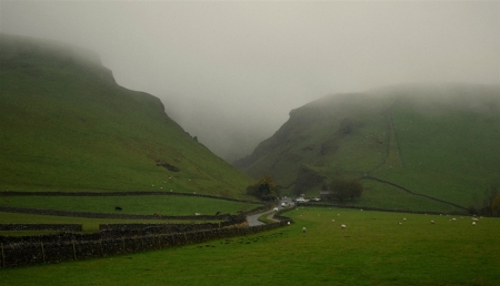 Green Carpet - nature, fog, green, amazing