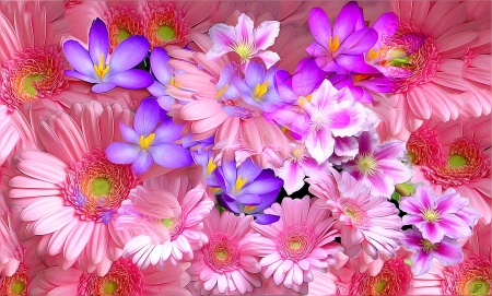 Crocuses and gerberas - purple, flower, art, crocus, pink, gerbera, luminos