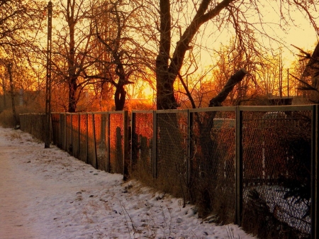 Frosty Morning - fence, sky, trees, snow, winter, sunrise