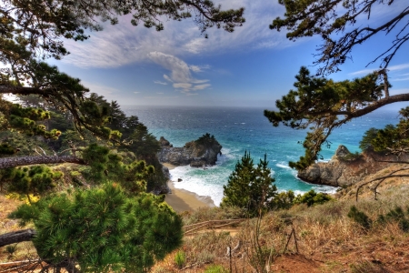 California Coast - nature, tree, california, coast