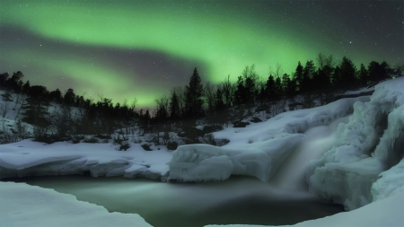 Northern Lights - trees, winter, aurora borealis, snow, forest, sky