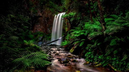 Waterfalls - las, wodospad, paprocie, rzeka