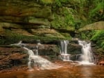 Forest Waterfall