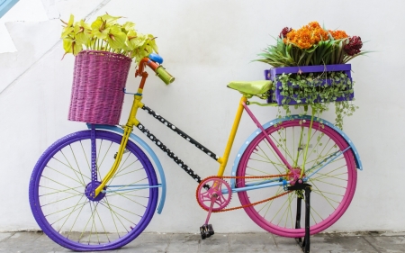 On the bike - bike, colors, flower, beautiful