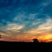 Sunset Silhouette