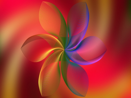 Beautiful Flower - line, colourful, flower, graphic