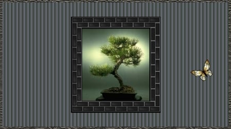 I'm So Lonesome I Could Cry - green, tree, butterfly, frame