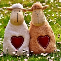 Sheep with â¤