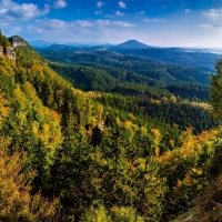 Mountain Forest