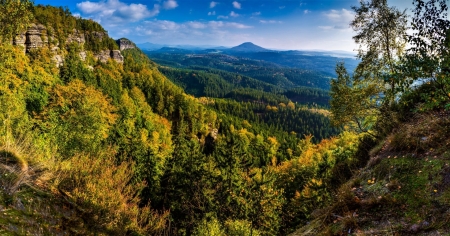 Mountain Forest - nature, tree, forest, mountain