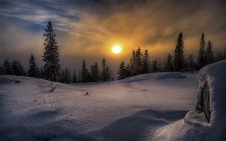 Winter Sunset - snow, Winter, Sunset, Nature