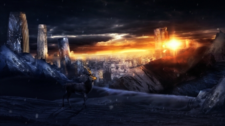 Deer - fantasy, martina stipan, apocaliptic, city, luminos, sunset, deer