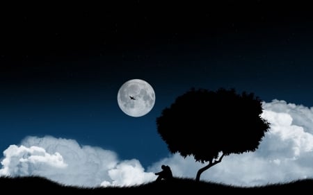 Moonlight - silhouette, night, black, fantasy, cloud, luminos, man, blue, tree