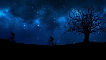 :) - blue, silhouette, night, stars, man, tree, fantasy, bycicle, luminos, sky