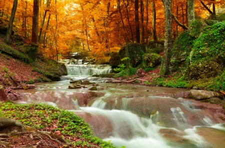 Forest cascades - autumn, cascades, stream, brook, lovely, creek, fall, forest, beautiful