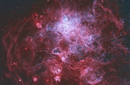 The Tarantula Nebula - fun, stars, cool, nebula, galaxies, space