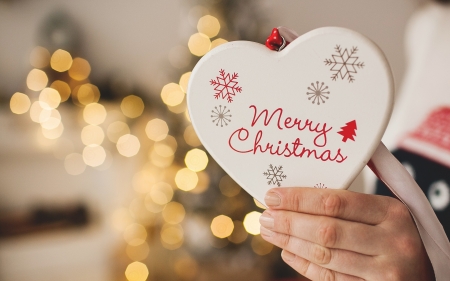 Merry Christmas! - christmas, bokeh, white, hand, heart, craciun, red, card