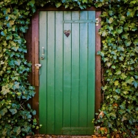 Door of Ivy Covered House