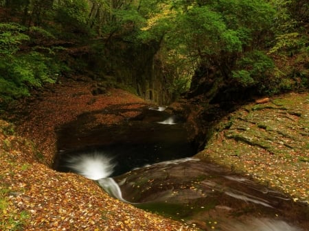 Stream - river, Stream, nature, rocks