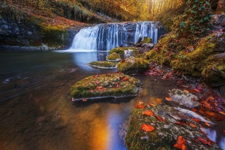 Forest waterfall - nature, autumn, forest, waterfall