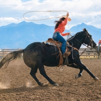 Rodeo Practice . .