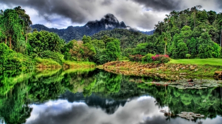 Forest Reflection - nature, trees, mountain, forest, reflection, clouds, river, green