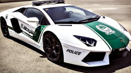 dubai police car